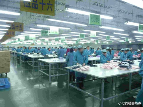深圳三和大神 再見了深圳, 再見工廠, 天天下早班, 收拾行李歸家